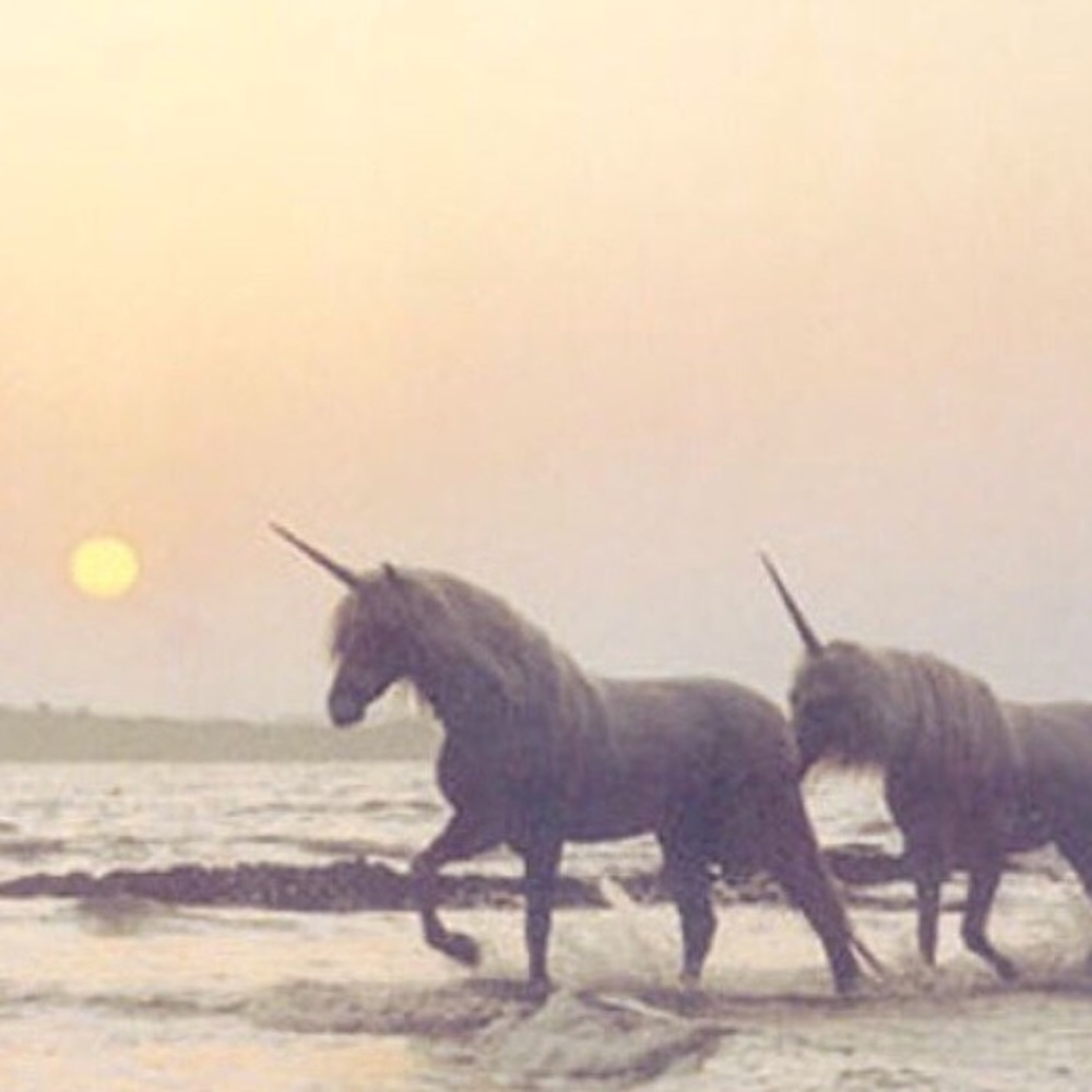 Hi :) Bundle Likes to Get A Special Offer